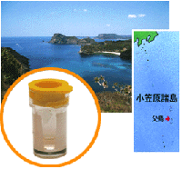 ���}������